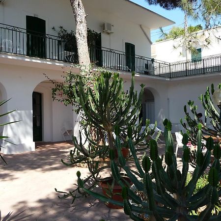 Villa Stasi B&B Santa Maria di Leuca Kültér fotó